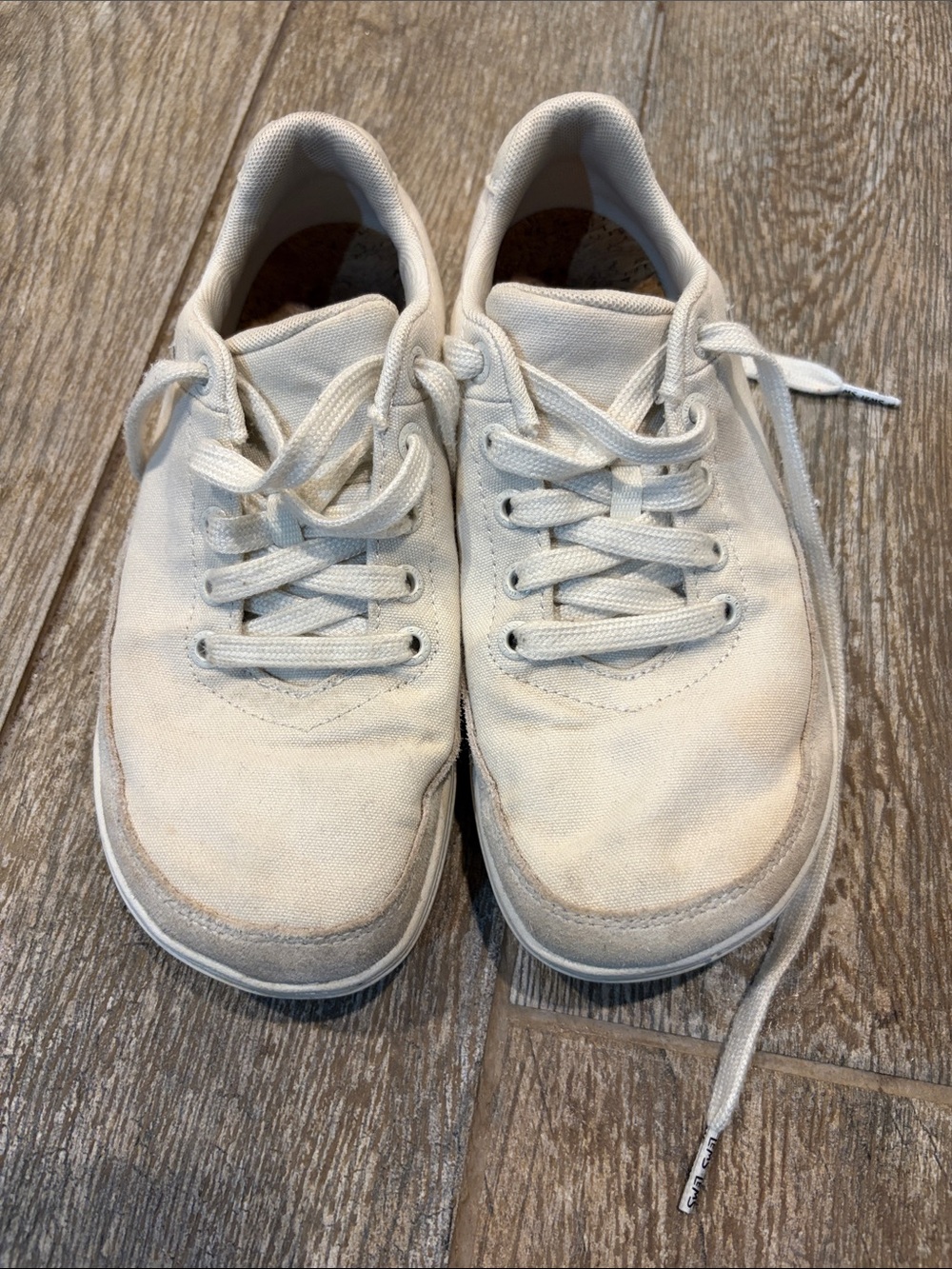 Lems Chillum Women's Canvas Lace-Up Sneakers in Off-White size 6